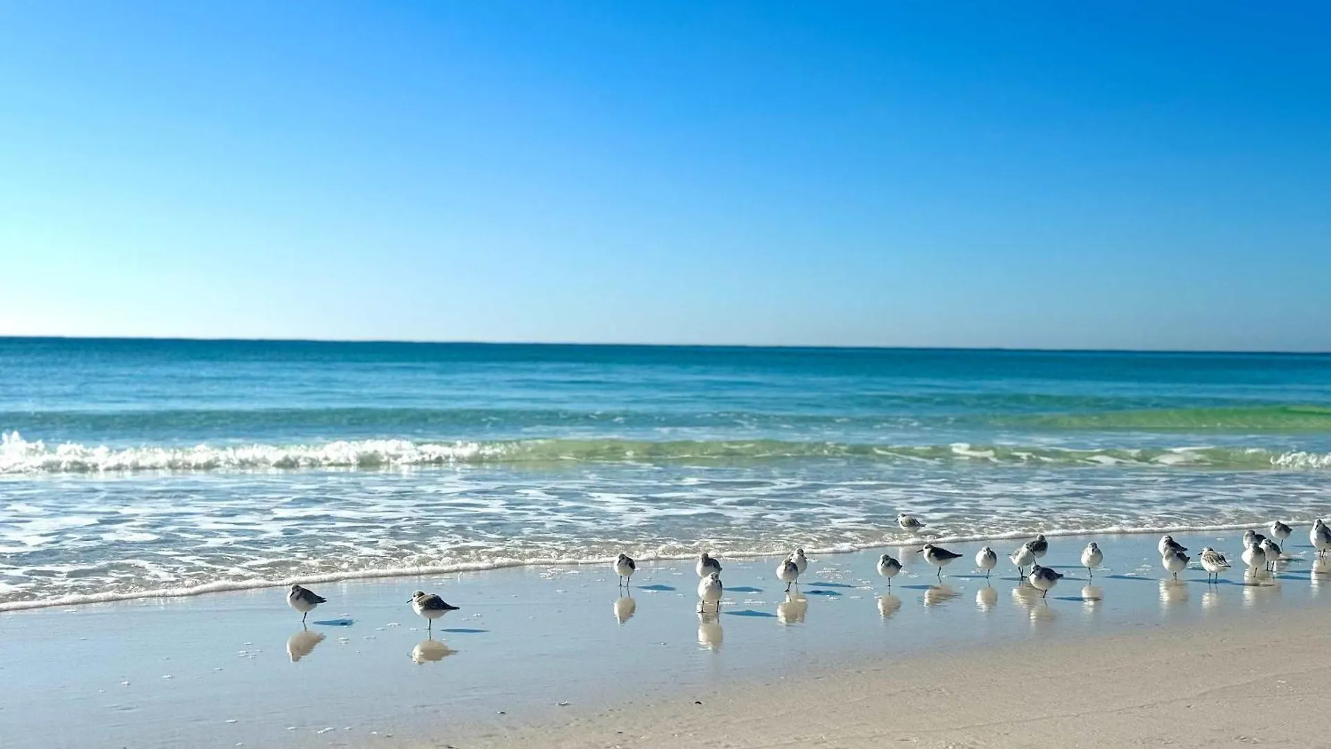 Destin Beach House Pool Heat&Golf Cart Deals Gameroom United States